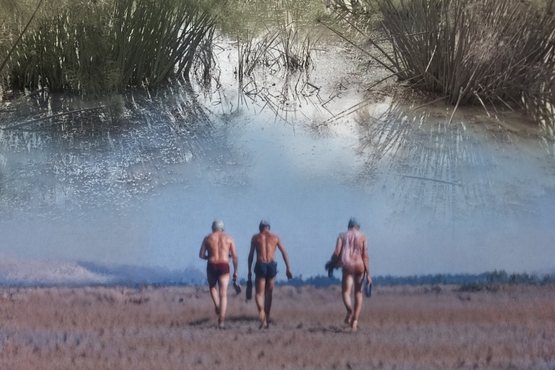 תמונת תאריך פעילות: שלושה צלמים בביצה